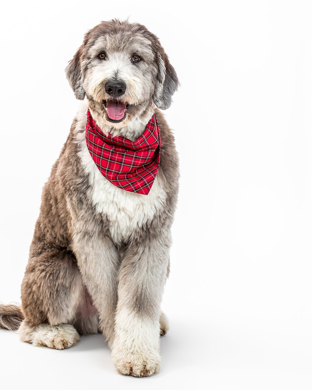 WINTER BANDANA