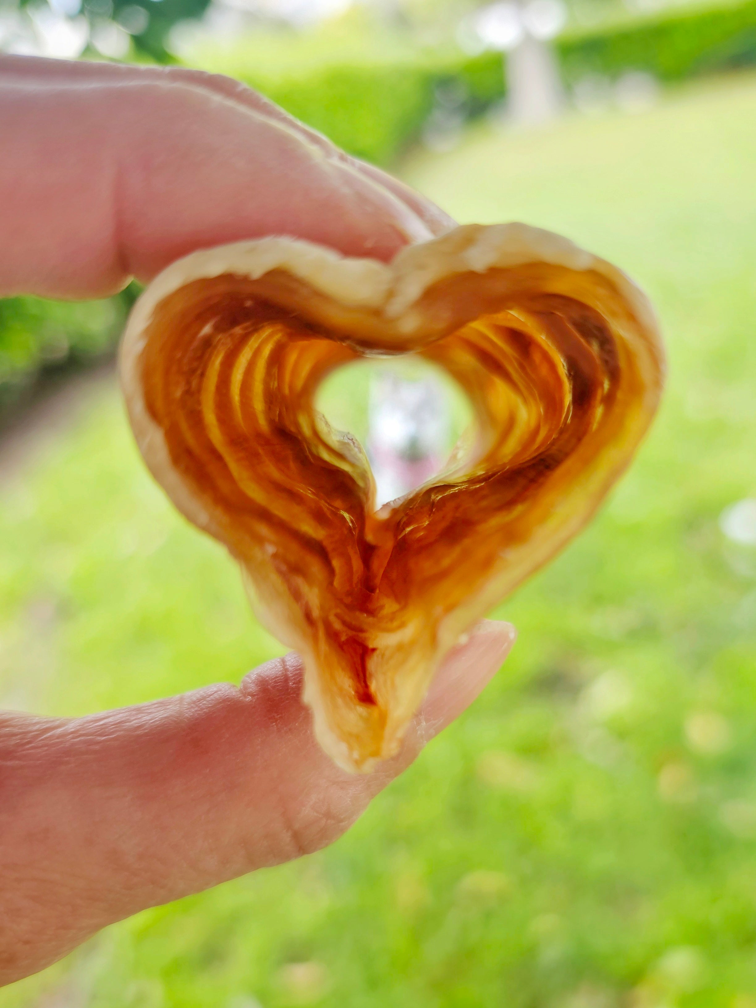 Beef Trachea (Grass Fed & Finished)