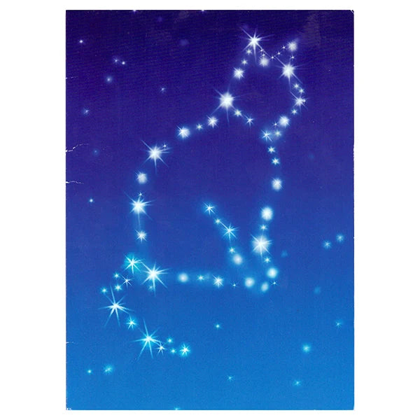 Avanti Cat Sympathy Stars Greeting Card