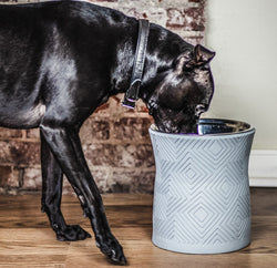 Santa Fe Elevated Dog Bowl