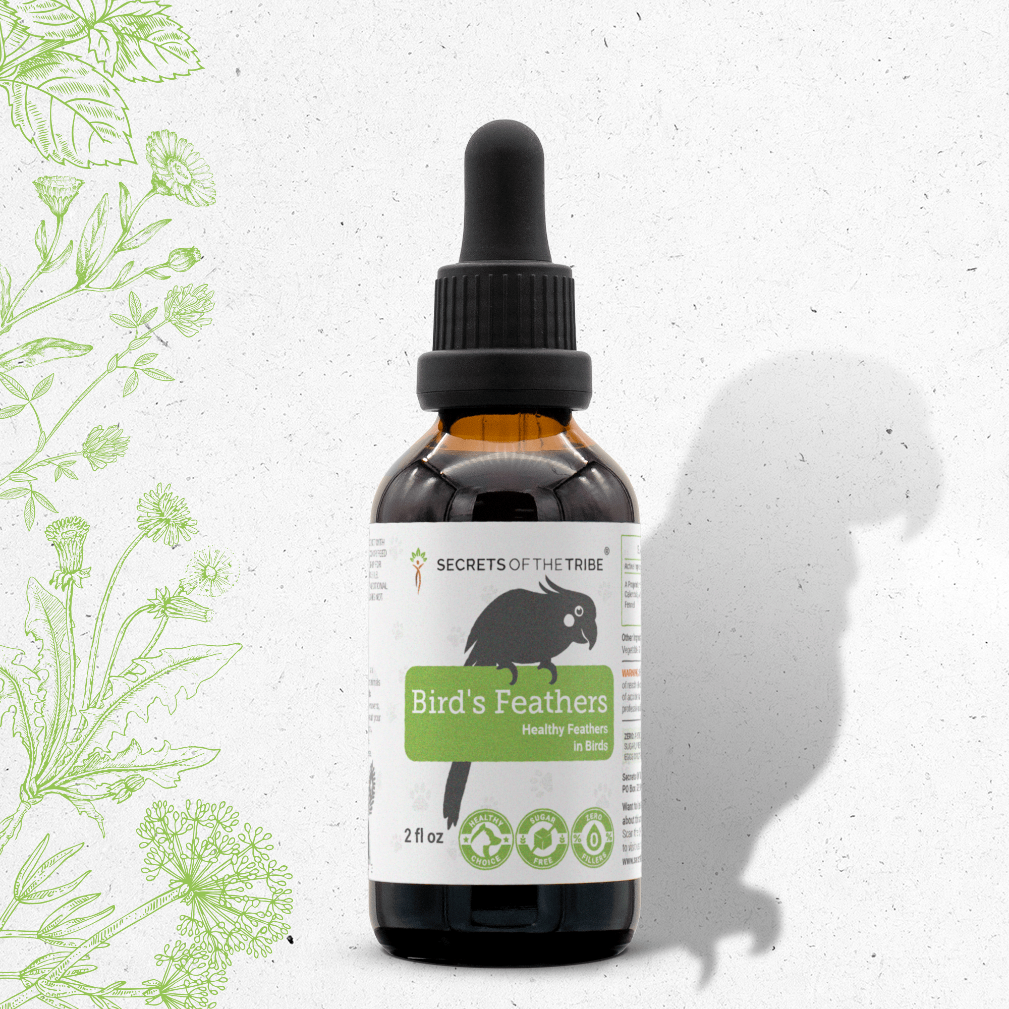 Bird's Feathers - Healthy Feathers Support in Birds