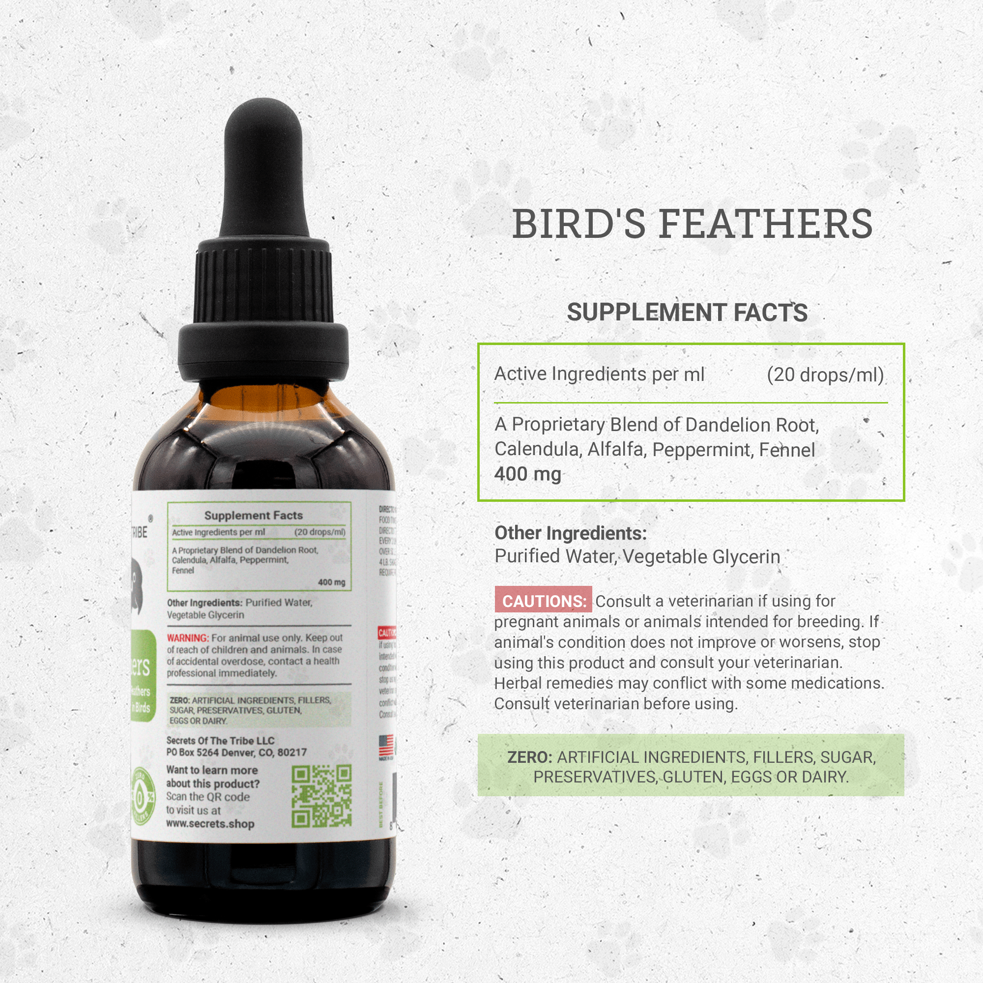 Bird's Feathers - Healthy Feathers Support in Birds