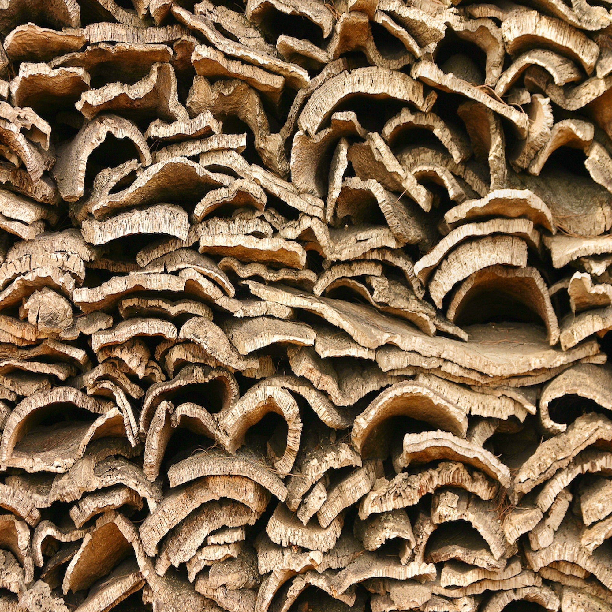 Cork Bark Flats (Customizable)