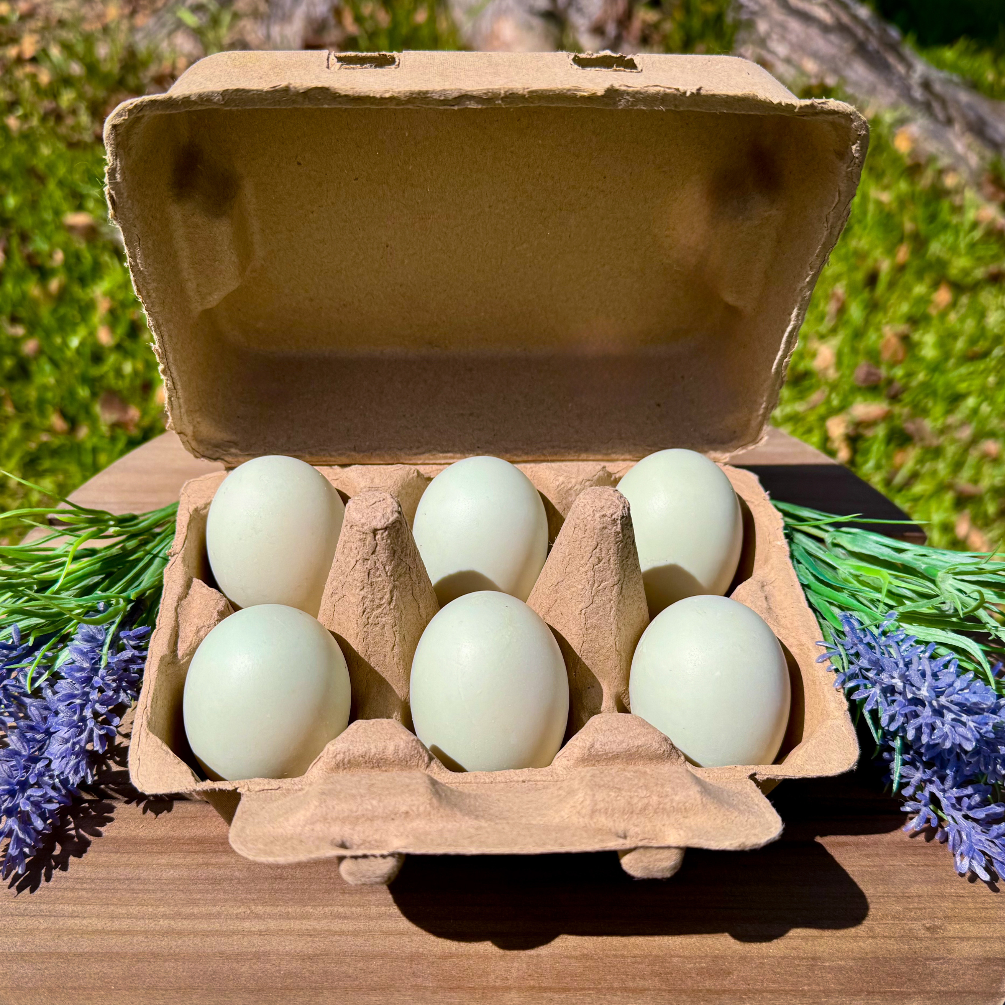Henlay Duck Egg Cartons - Holds Half Dozen Jumbo Eggs- Blank Flat Top, 2 colors, 20 or 100