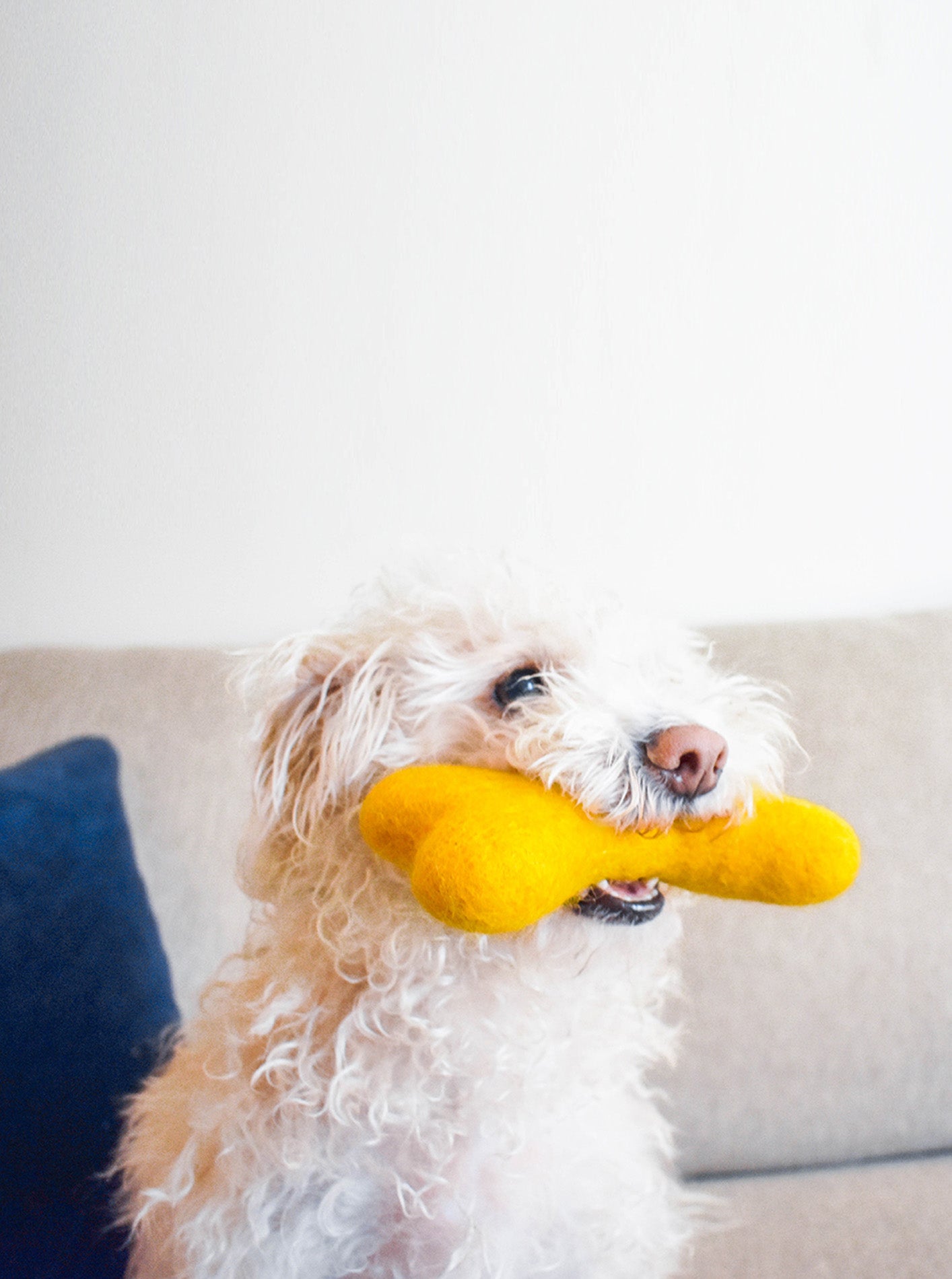 CLASSIC WOOLBONE DOG TOY
