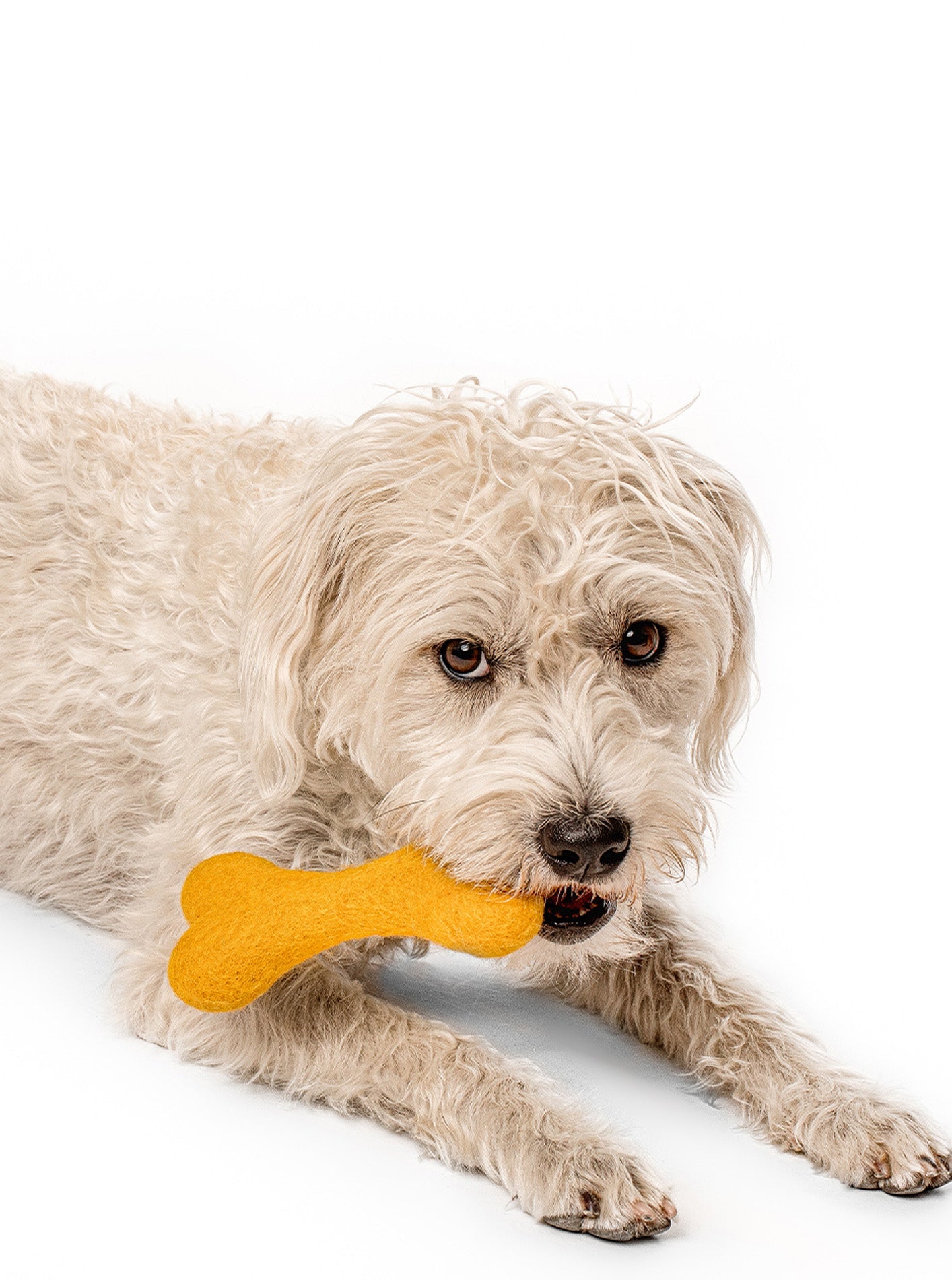 CLASSIC WOOLBONE DOG TOY