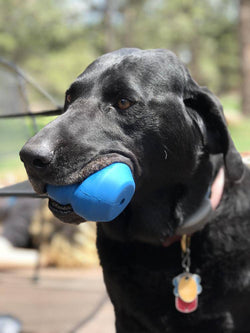 ID Double Trouble Durable Rubber Chew Toy and Treat Dispenser