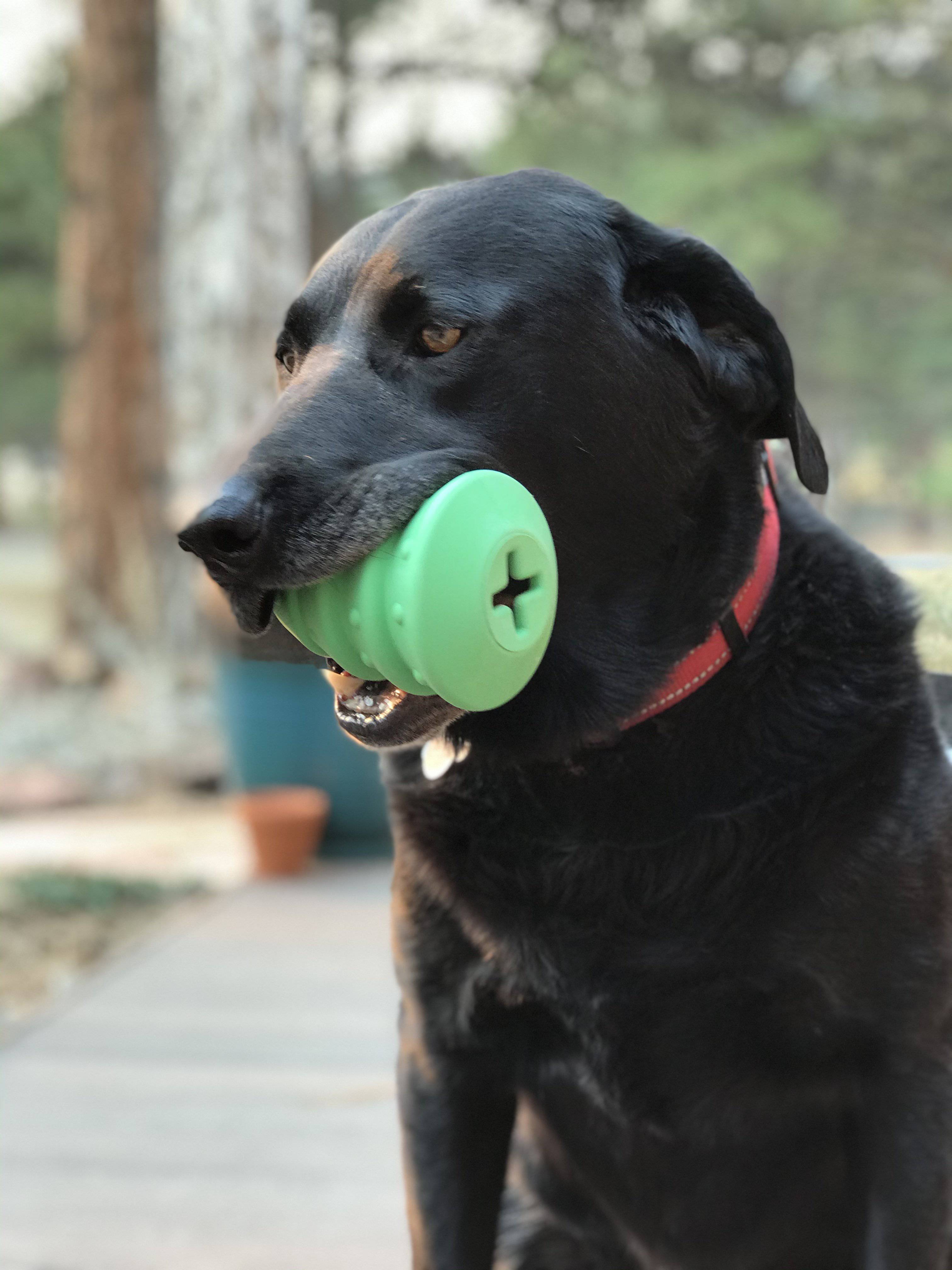 Christmas Tree Durable Rubber Chew Toy & Treat Dispenser