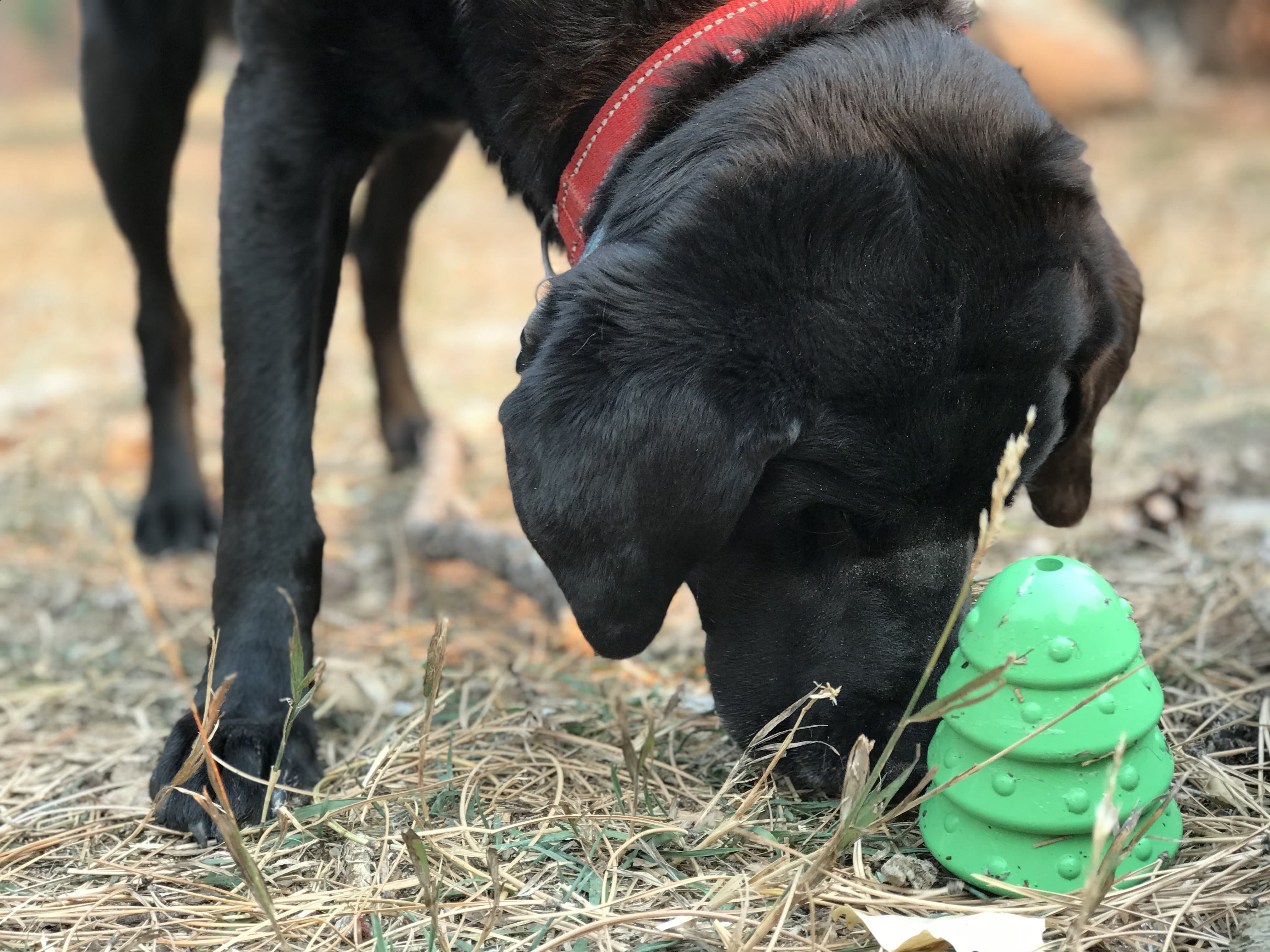 Christmas Tree Durable Rubber Chew Toy & Treat Dispenser