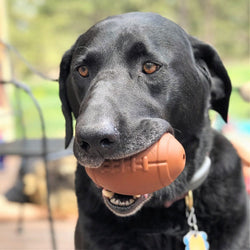 Football Durable Rubber Chew Toy and Treat Dispenser