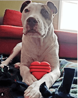 Large Rubber Heart on a String Toy