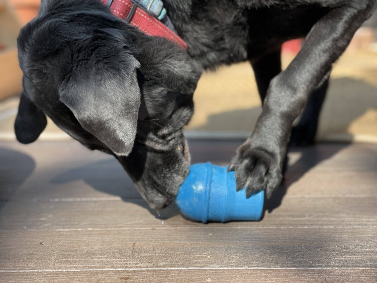 Ice Cream Cone Durable Rubber Chew Toy and Treat Dispenser