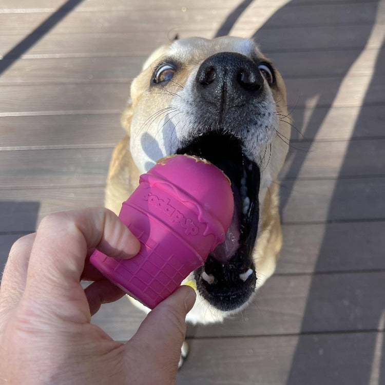 Ice Cream Cone Durable Rubber Chew Toy and Treat Dispenser