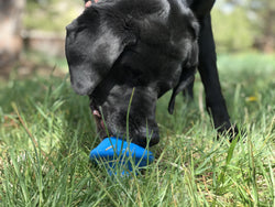 Flying Saucer Durable Rubber Chew Toy & Treat Dispenser