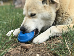 Flying Saucer Durable Rubber Chew Toy & Treat Dispenser