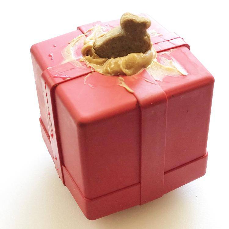 Gift Box eDispenser Durable Rubber Chew Toy & Treat Dispenser