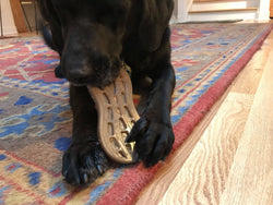 SodaPup Peanut Ultra Durable Nylon Dog Chew Toy