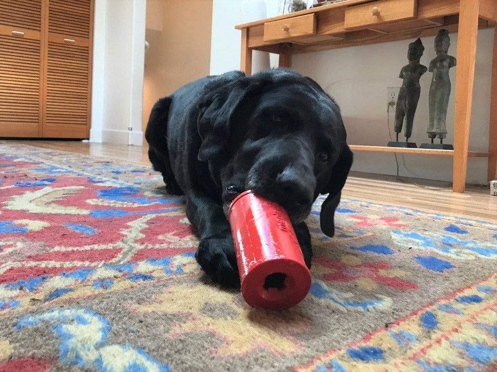 Retro Soda Can Durable Rubber Chew Toy and Treat Dispenser