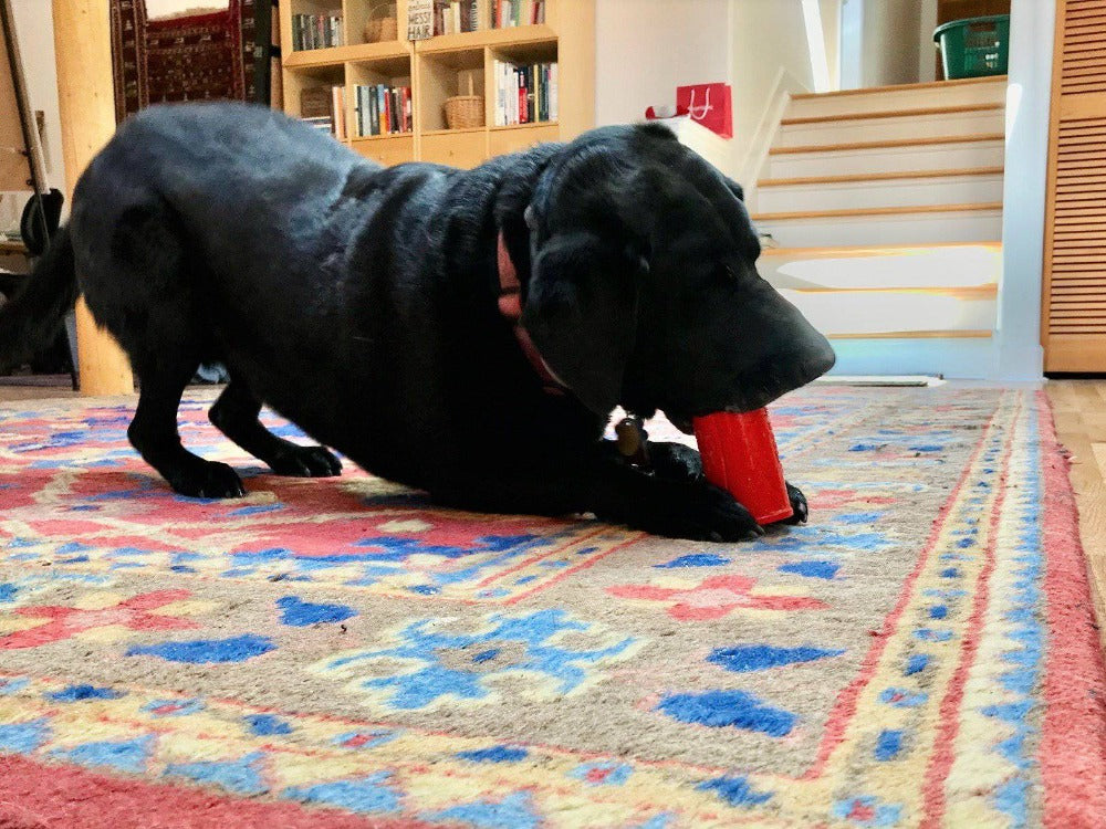 Retro Soda Can Durable Rubber Chew Toy and Treat Dispenser