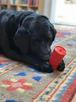 Retro Soda Can Durable Rubber Chew Toy and Treat Dispenser