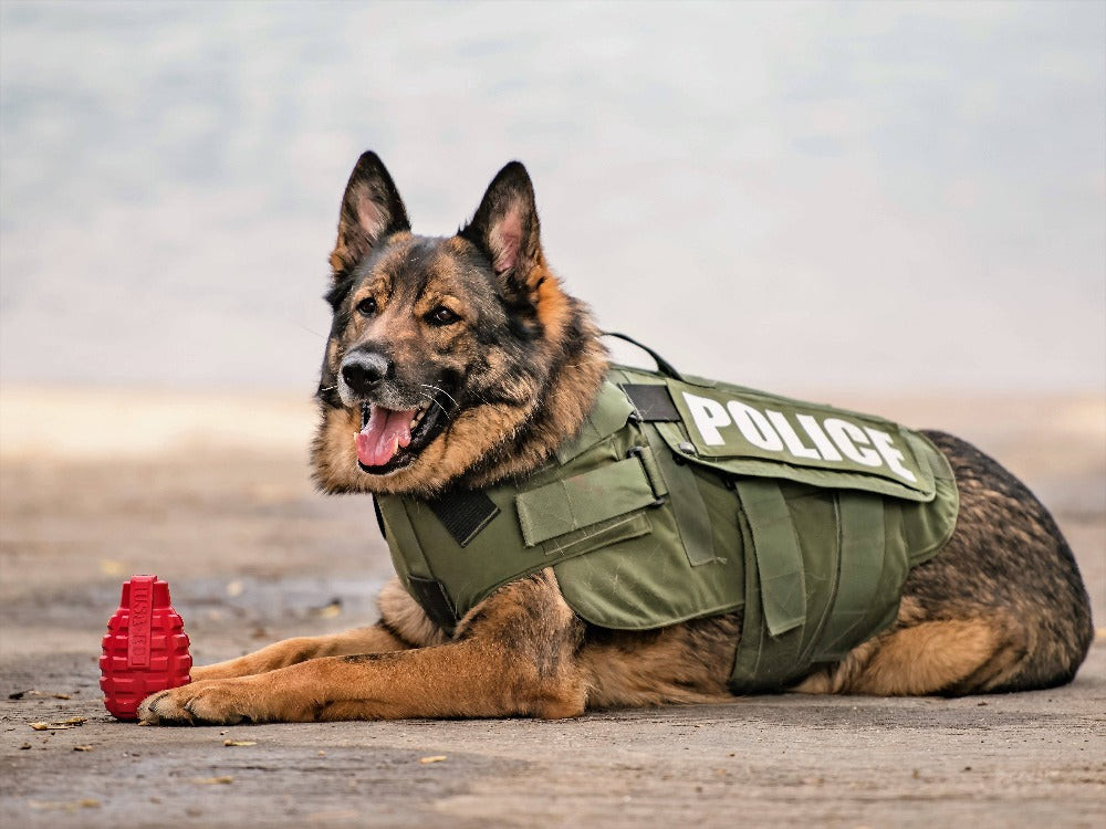 Grenade eDispenser Durable Dog Chew Toy & Treat Dispenser