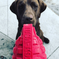 USA-K9 Puppy Grenade Durable Rubber Chew Toy & Treat Dispenser for Teething Pups - Pink