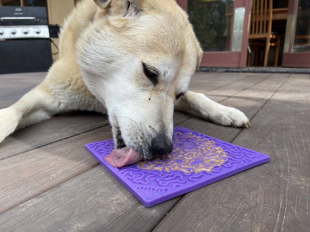 Bones Design eMat Enrichment Lick Mat