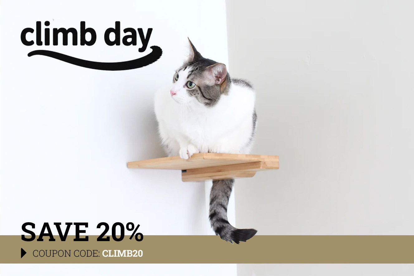 Cat Climbing Shelf