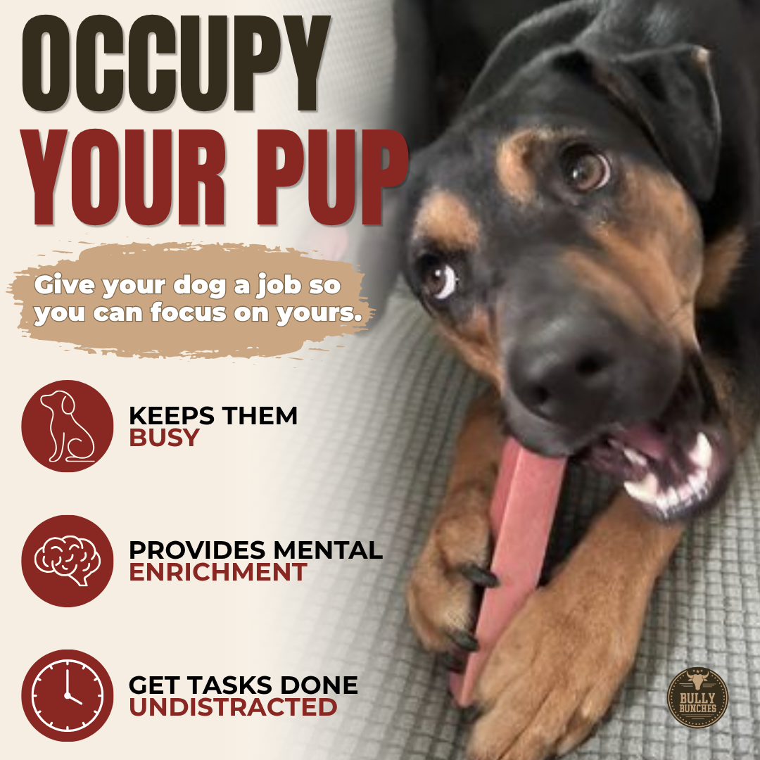 Himalayan Yak Chew Flavor Pack