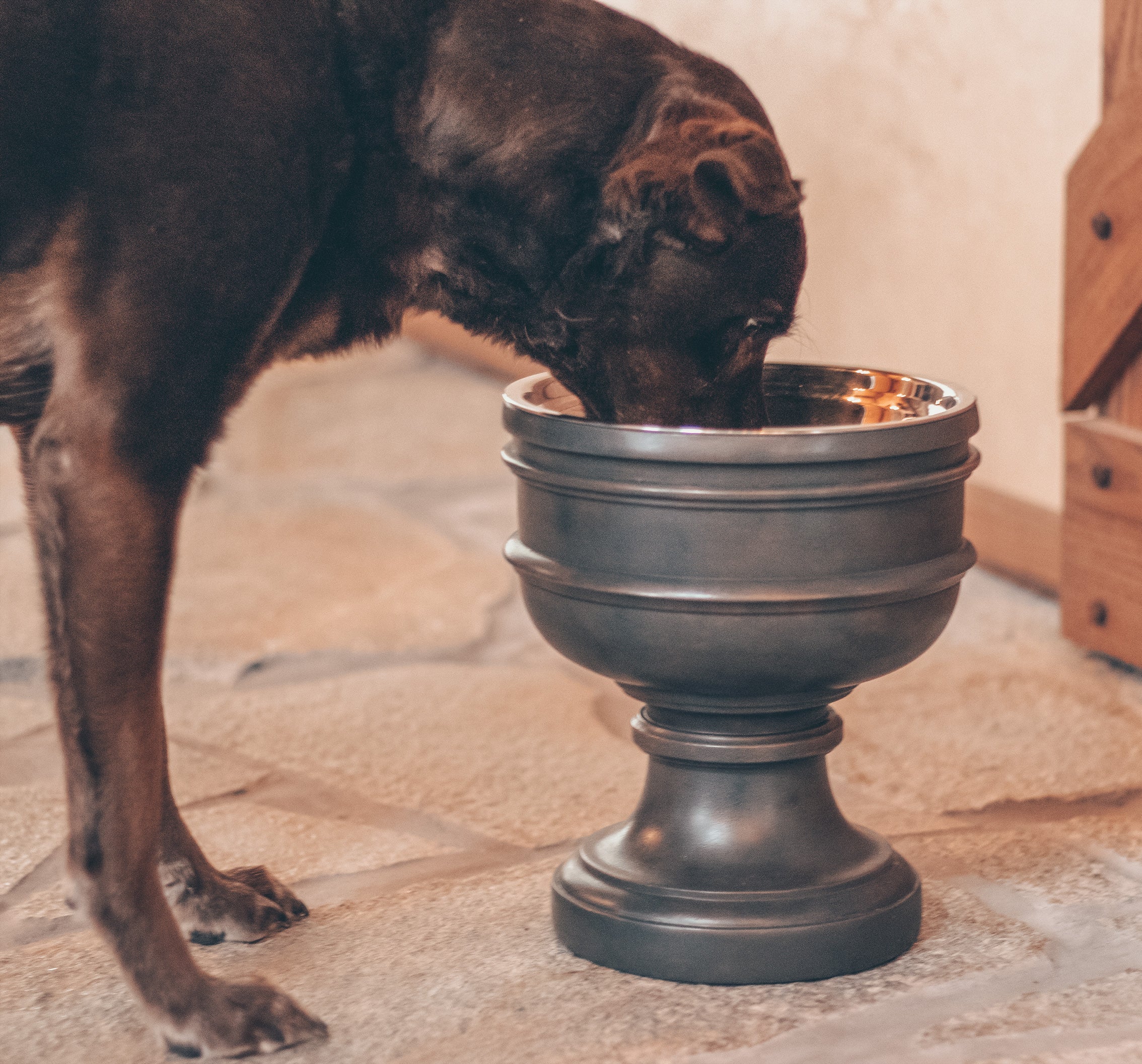 Summit Elevated Dog Bowl