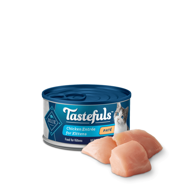 Blue Buffalo Tastefuls Kitten Chicken Pate Wet Cat Food, 3 Oz