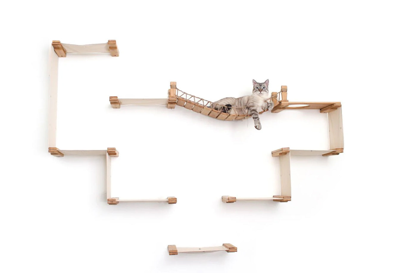 The Temple - Giant Cat Tree on Wall