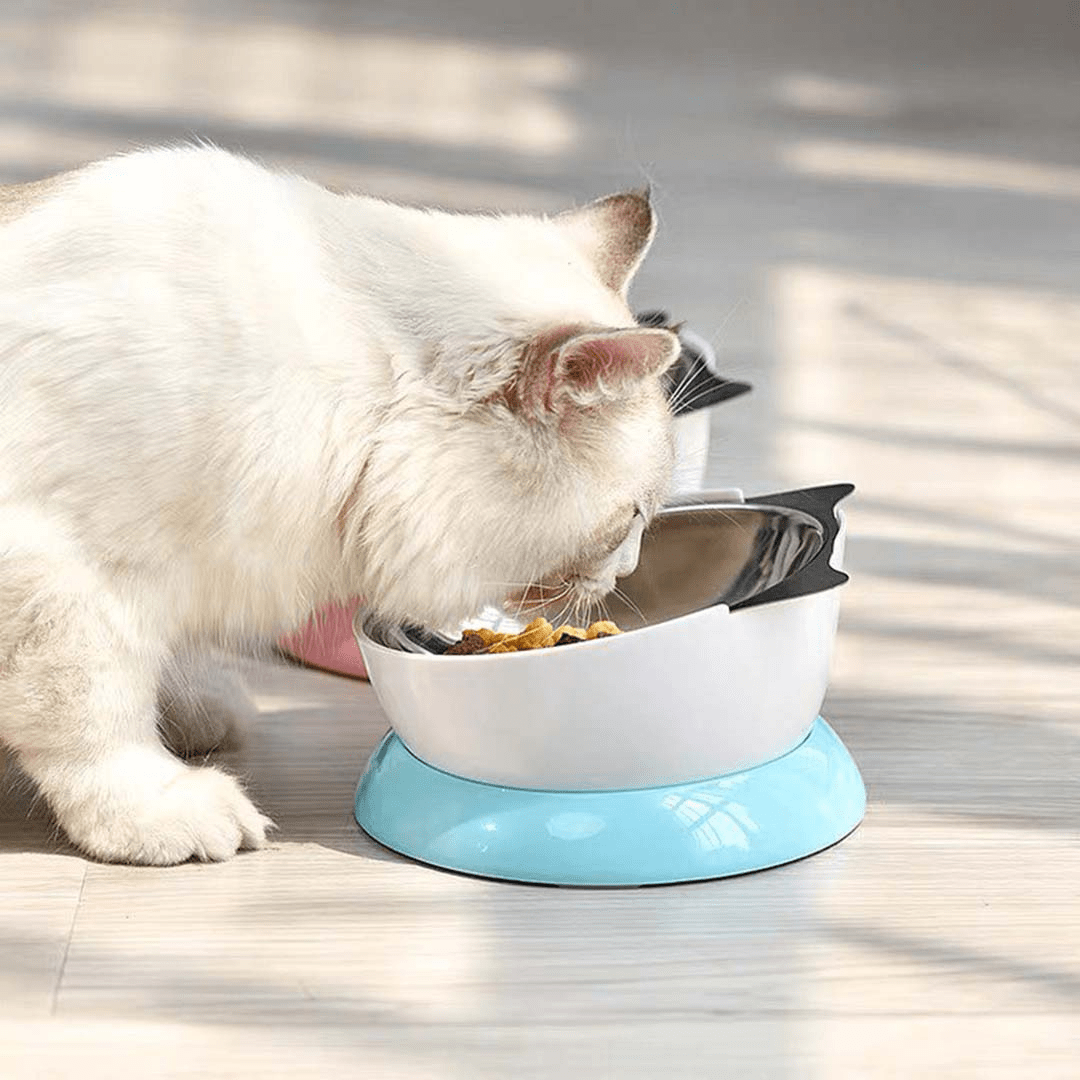 Stainless Steel Elevated Angled Cat Bowl