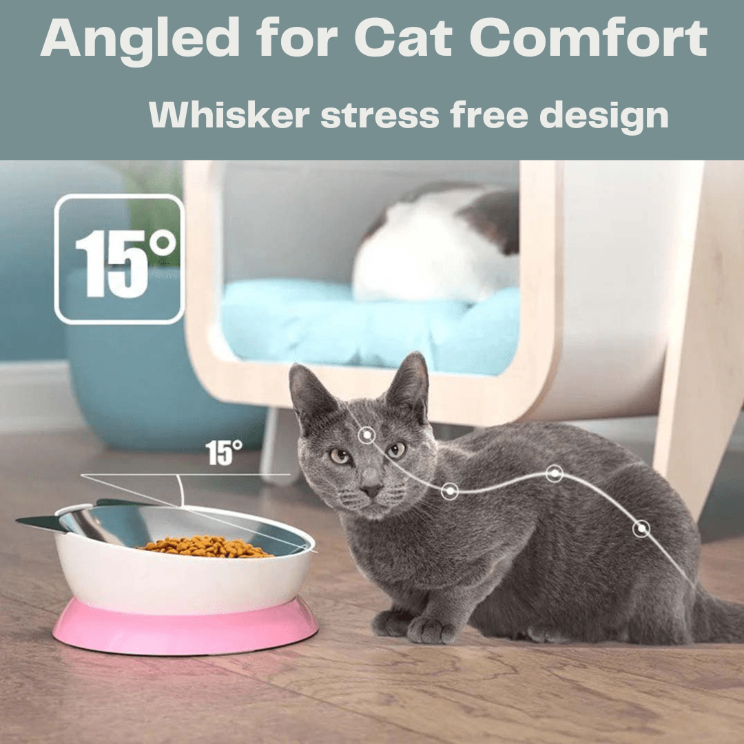 Stainless Steel Elevated Angled Cat Bowl