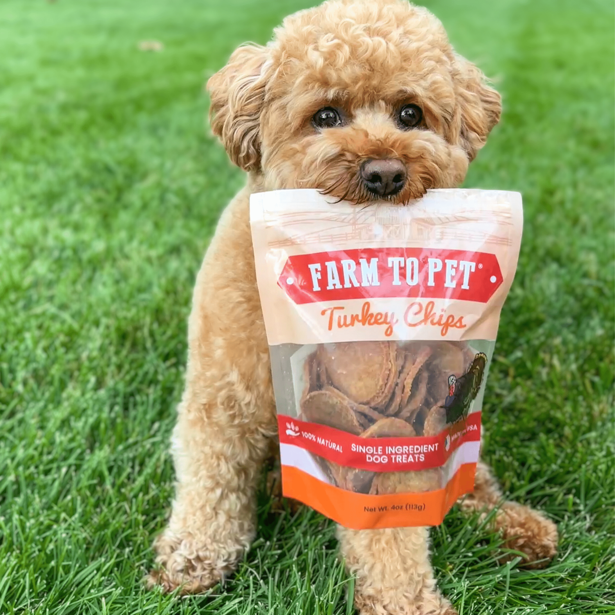 Farm To Pet Turkey Chips for Dogs