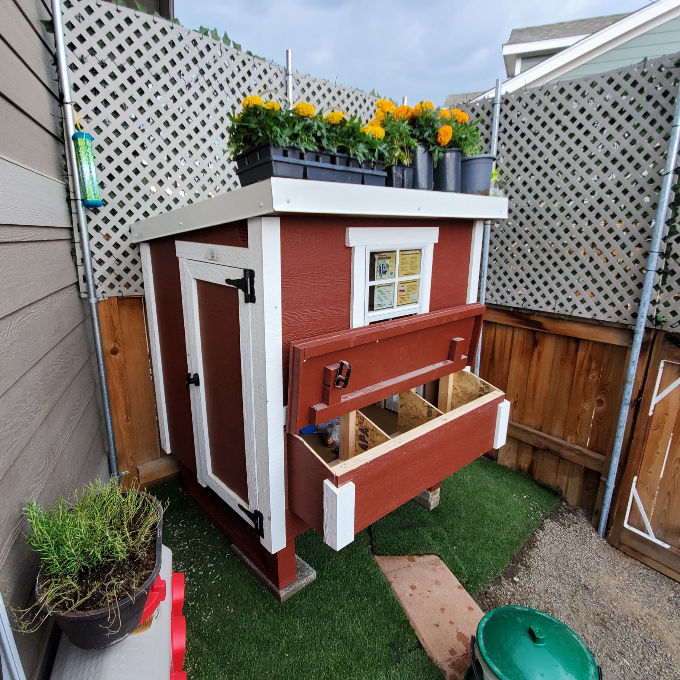 Medium Chicken Coop - Up to 10 Chickens