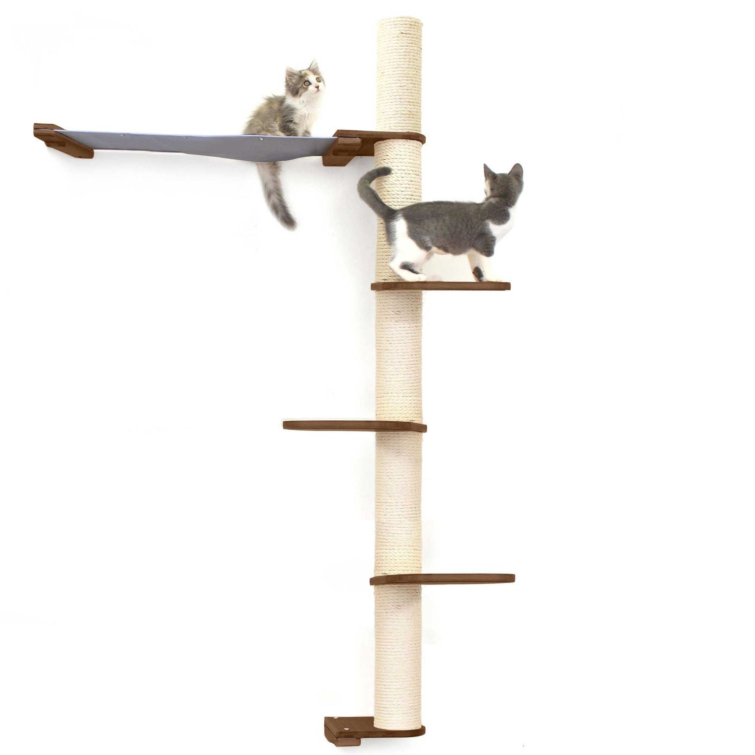 The Crow's Nest - A Wall Cat Scratcher with Hammock