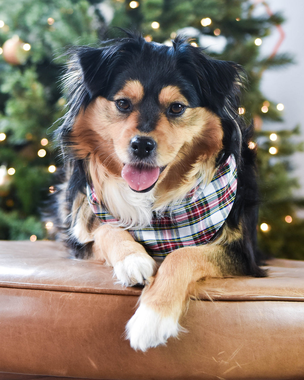 PLAID & WINTER BANDANAS