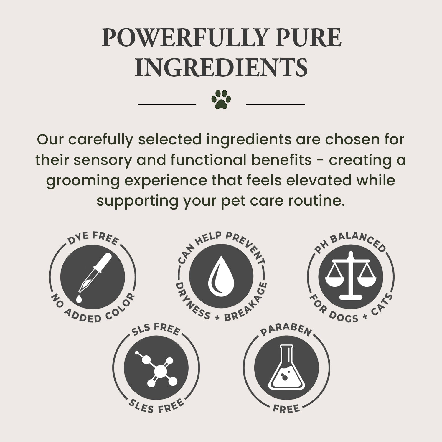 Pet Shampoo | Soothing & Deodorizing | Wild Heart