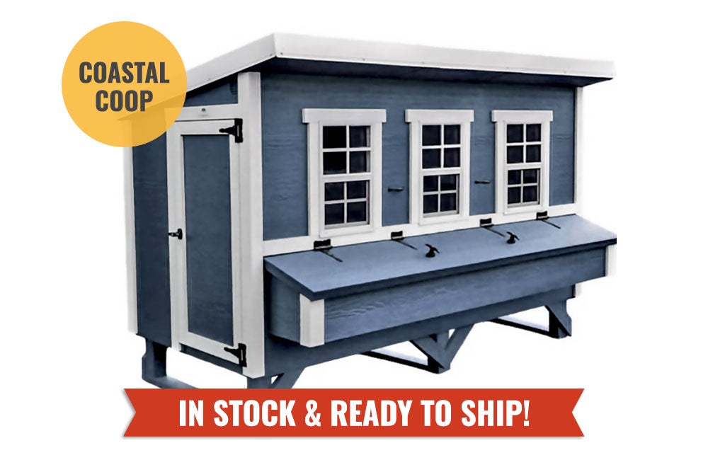 XL Chicken Coop - Up to 20 Chickens