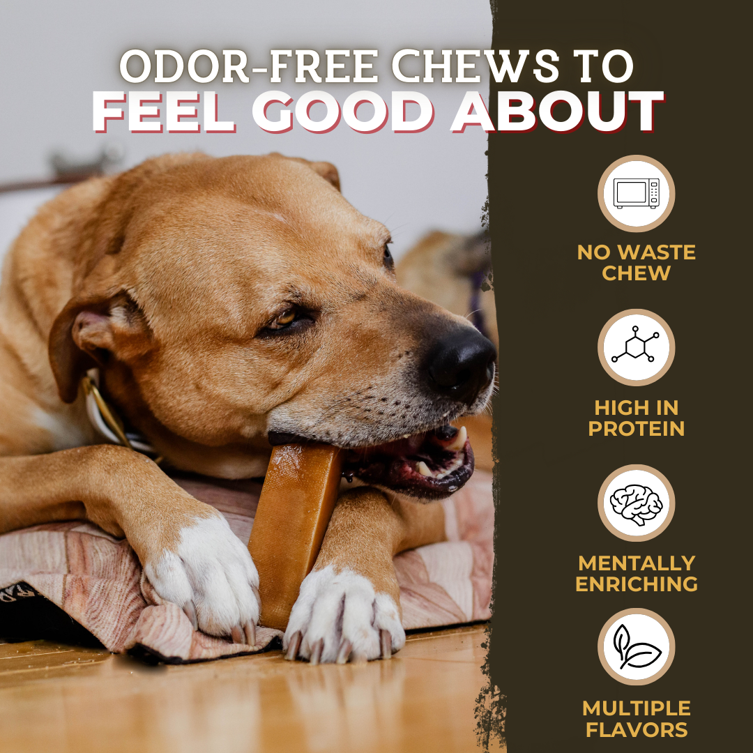 Himalayan Yak Chew Flavor Pack