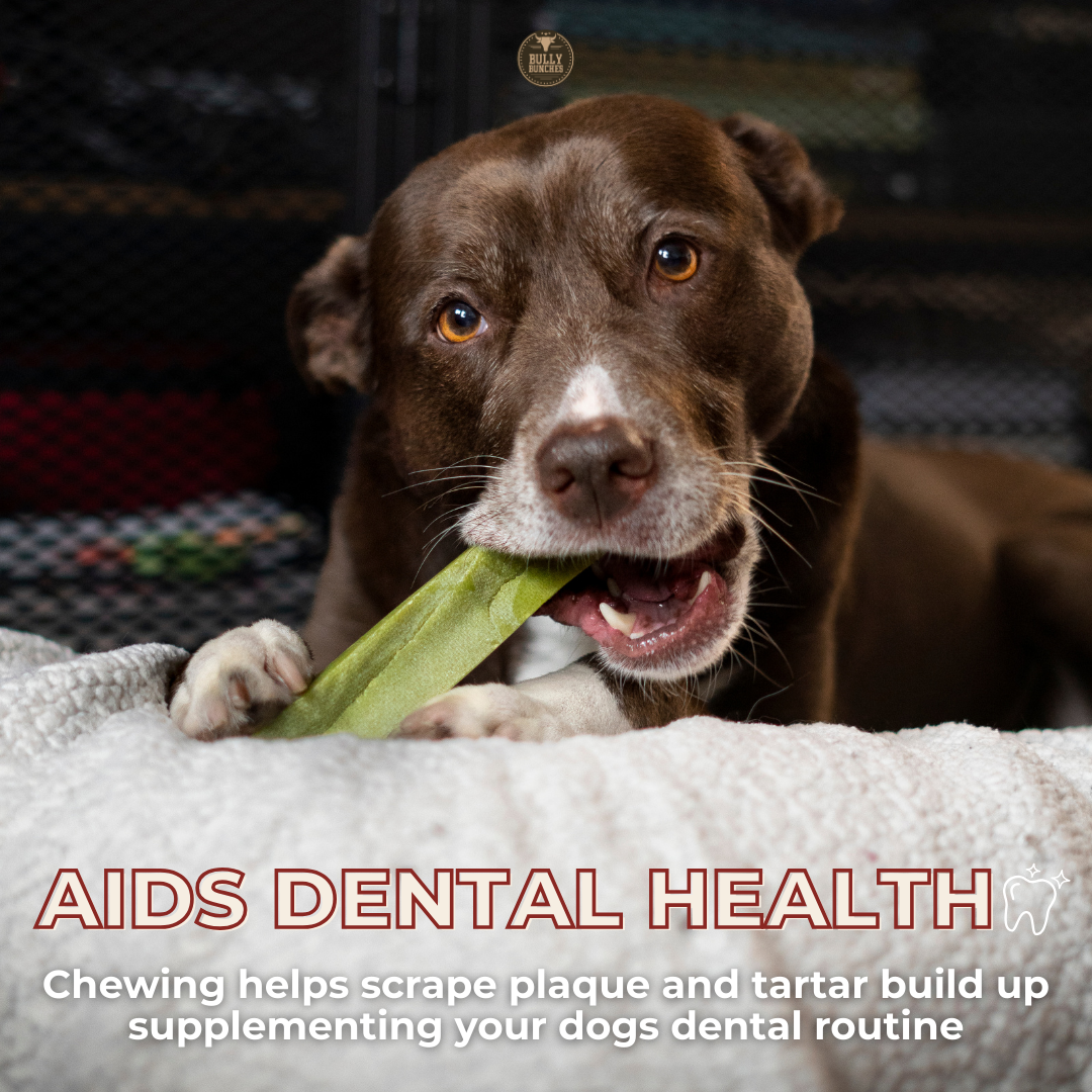 Himalayan Yak Chew Flavor Pack