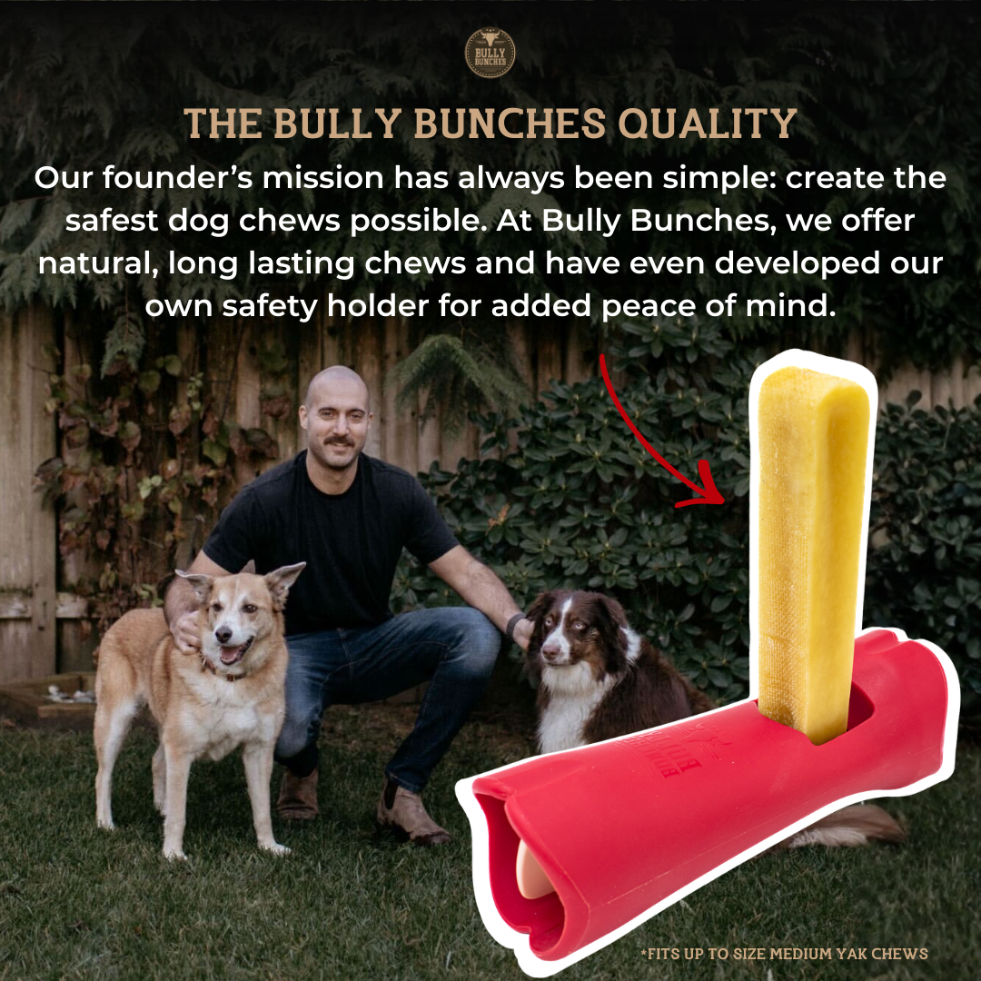 Himalayan Yak Chew (SMALL)