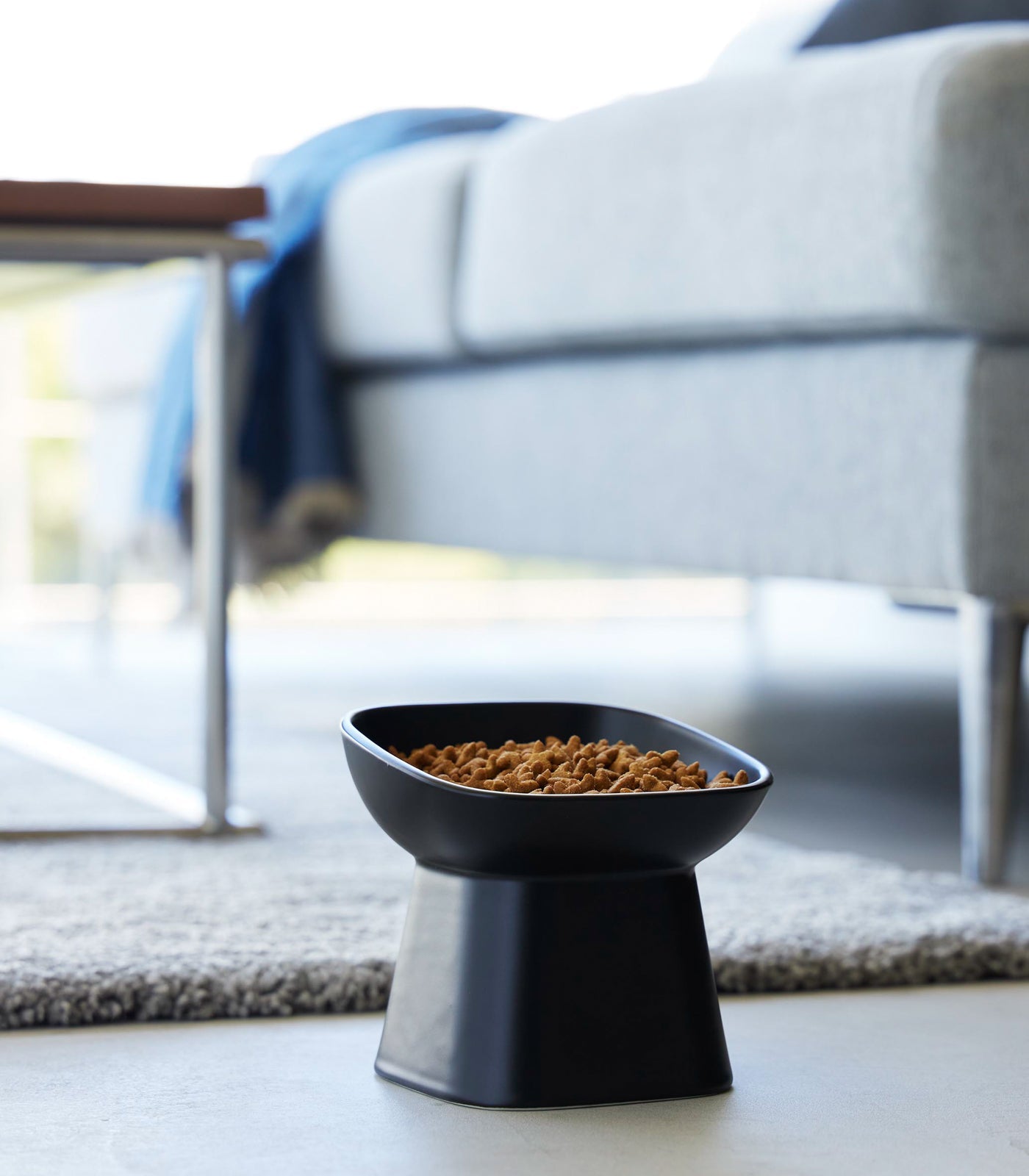 Tilted Pet Food Bowl
